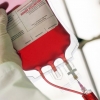Поделитесь своей историей донорства - «Станция переливания крови ФМБА России в г.Екатеринбурге»