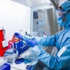 Ученые из России синтезировали препараты, препятствующие старению клеток - «Станция переливания крови ФМБА России в г.Екатеринбурге»